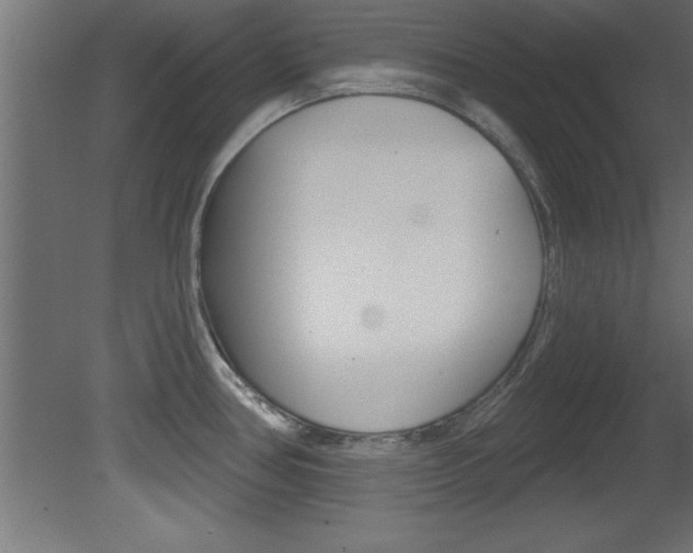 X0000081461386200701121029