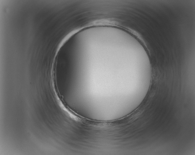 X0000081461387200701121029