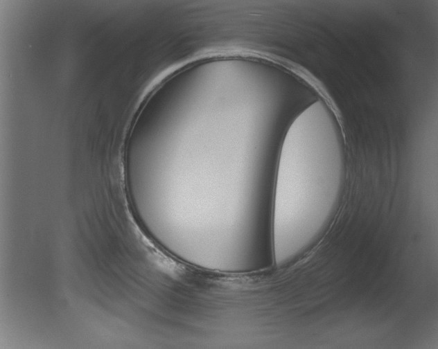 X0000081461388200701121029