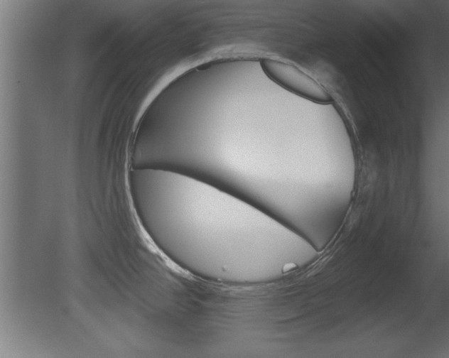 X0000081461390200701121029