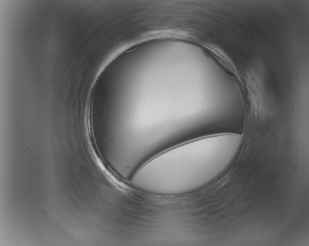 X0000081461391200701121029