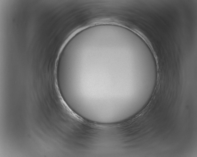 X0000081461392200701121029