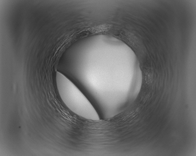 X0000081461393200701121029