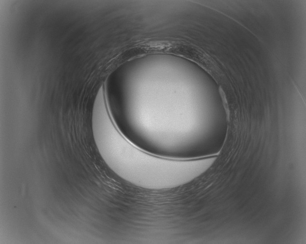 X0000081461394200701121029