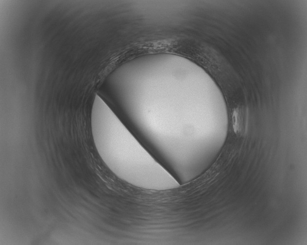 X0000081461395200701121029