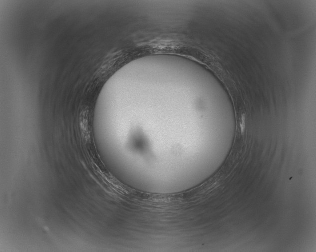 X0000081461396200701121029