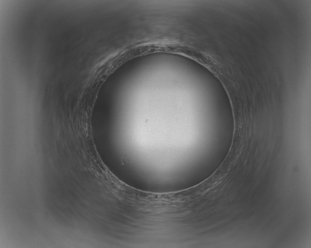 X0000081461398200701121029