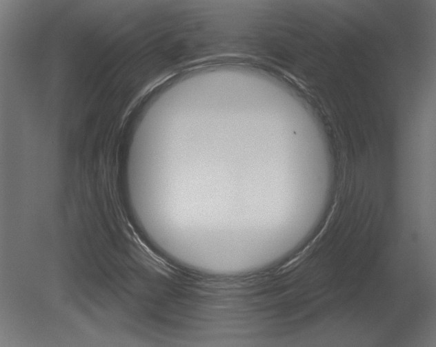 X0000081461402200701121029