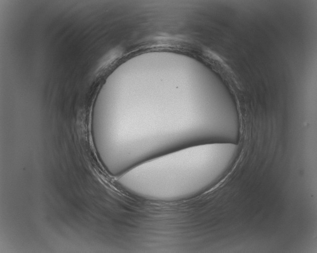 X0000081461403200701121029