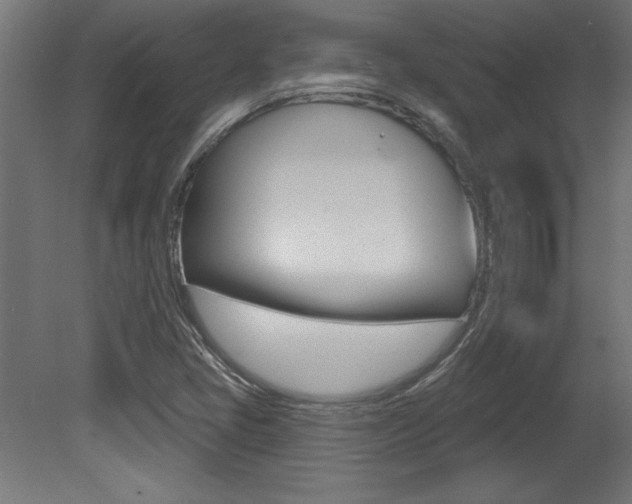 X0000081461405200701121029