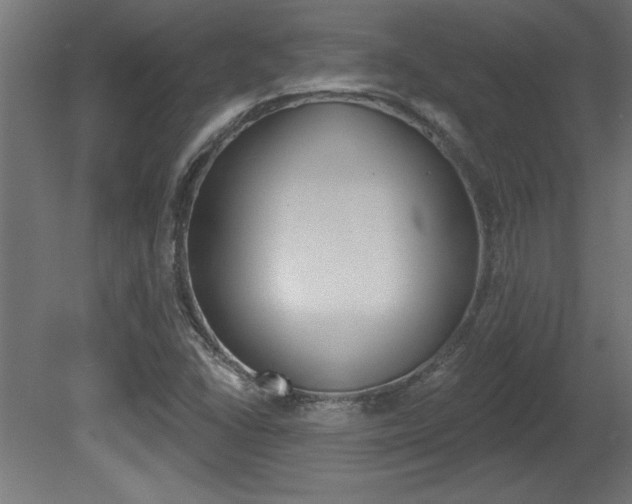 X0000081461406200701121029
