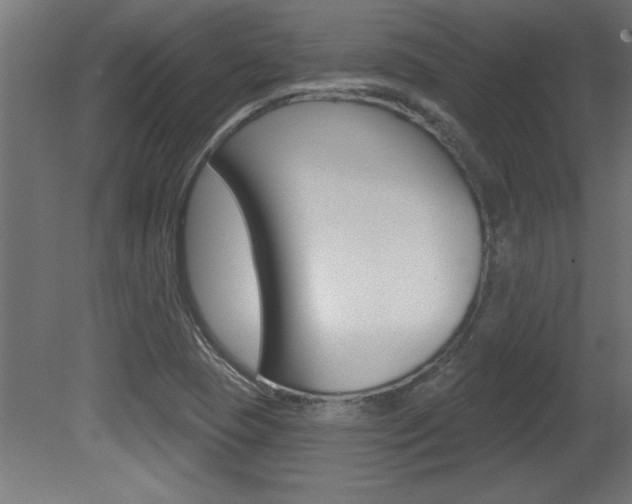 X0000081461409200701121029