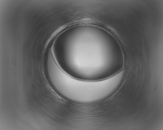 X0000081461410200701121029