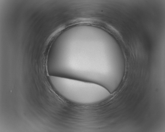 X0000081461411200701121029