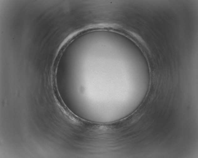 X0000081461412200701121029