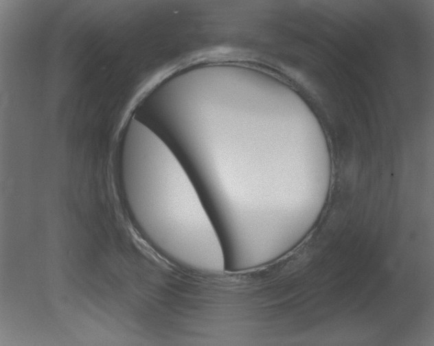 X0000081461413200701121029