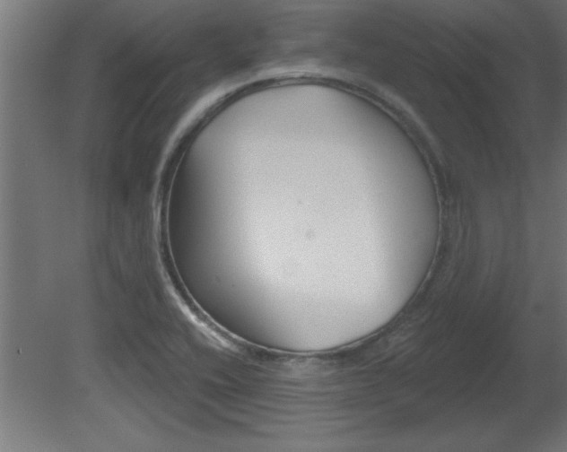 X0000081461416200701121029