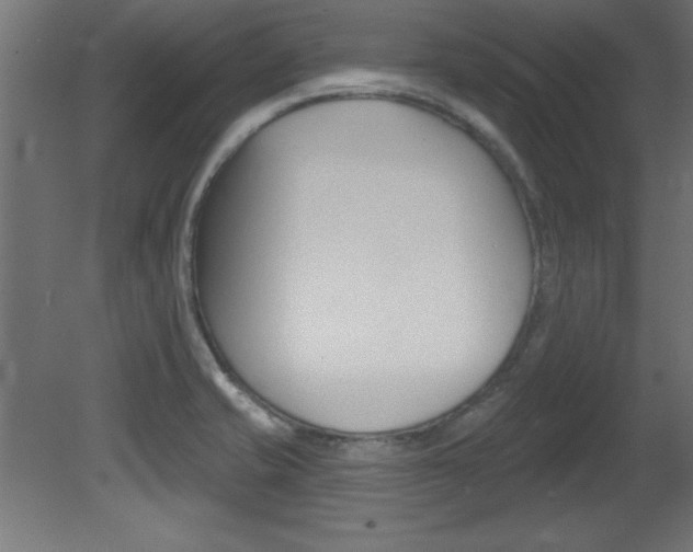 X0000081461421200701121029