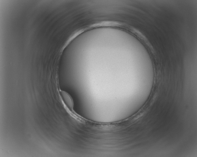 X0000081461425200701121029