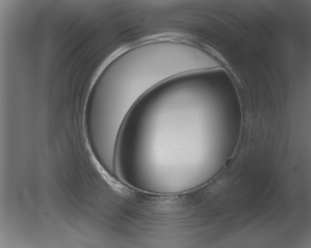 X0000081461426200701121029