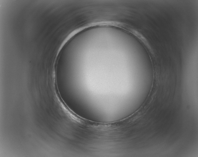 X0000081461428200701121029