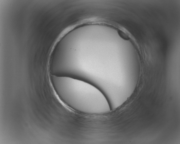 X0000081461429200701121029