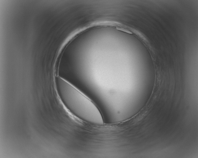 X0000081461430200701121029
