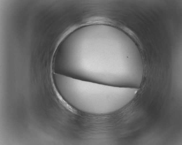 X0000081461431200701121029
