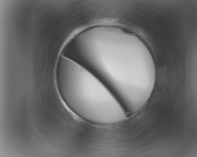 X0000081461432200701121029