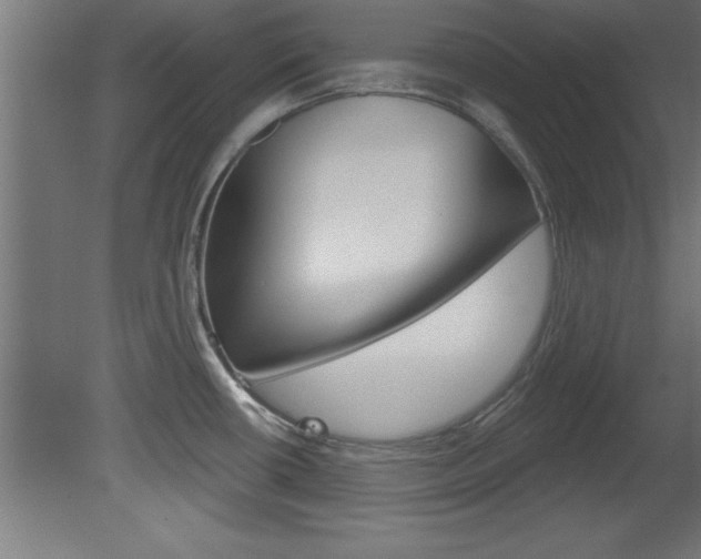 X0000081461434200701121029