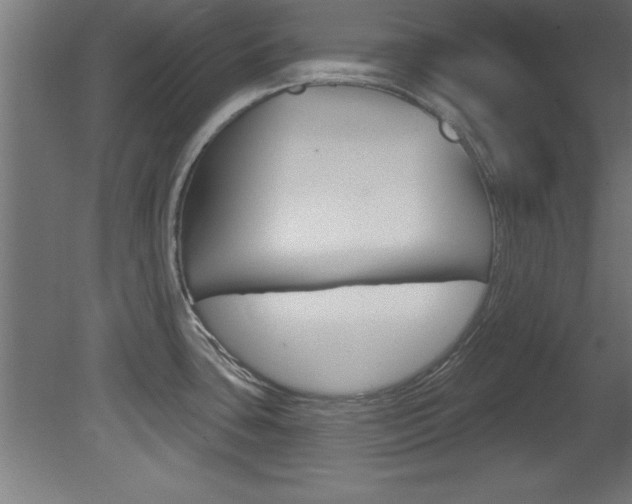 X0000081461435200701121029