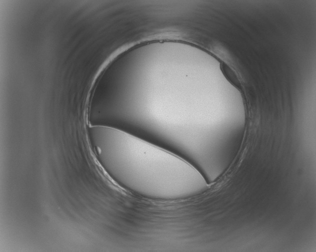 X0000081461436200701121029