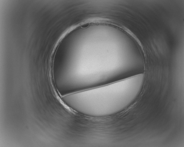 X0000081461437200701121029