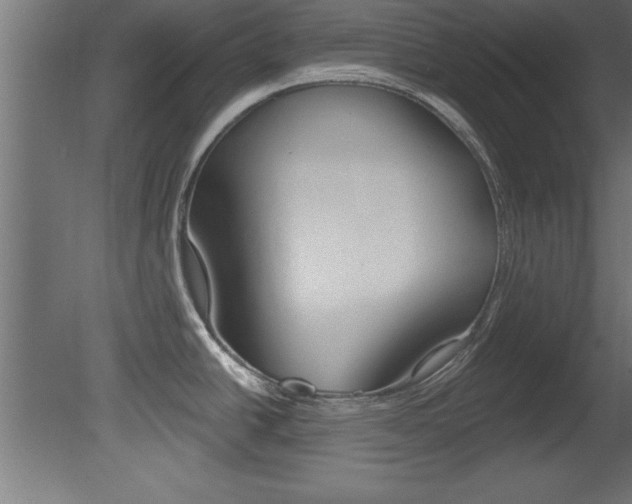 X0000081461438200701121029