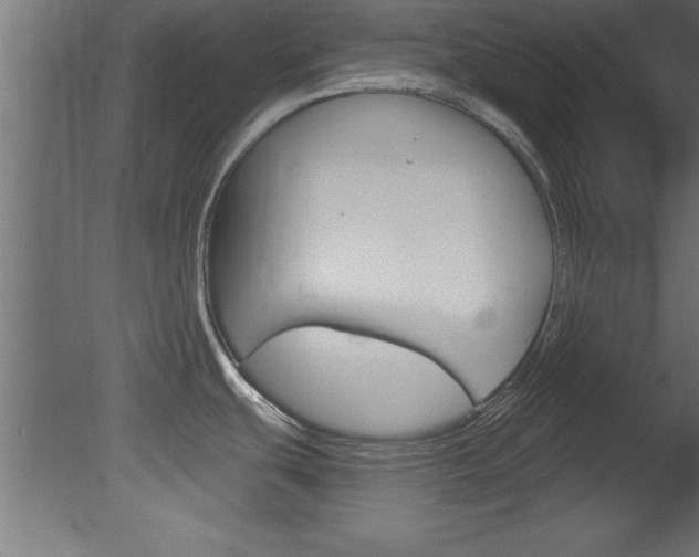 X0000081461439200701121029