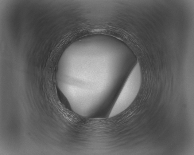 X0000081461441200701121029