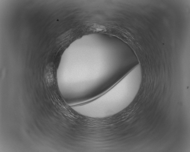 X0000081461442200701121029
