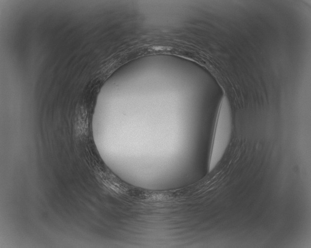 X0000081461443200701121029