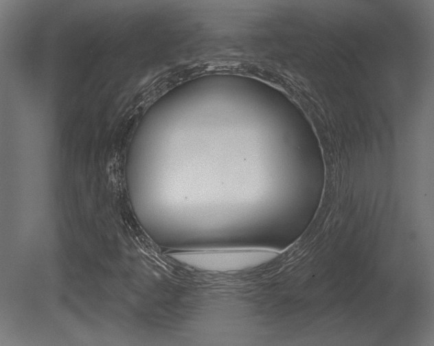 X0000081461445200701121028