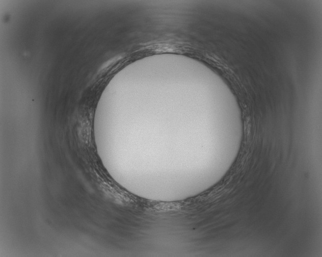 X0000081461446200701121028