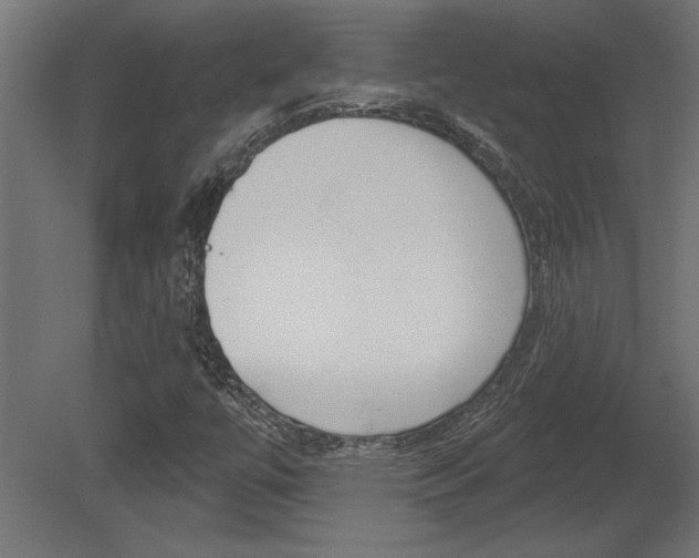 X0000081461447200701121028