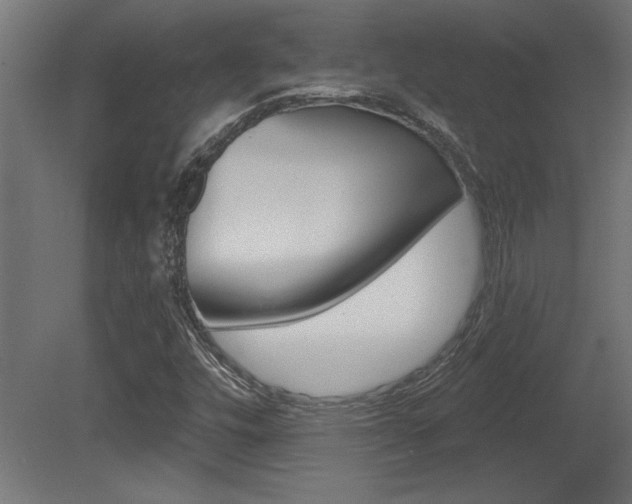 X0000081461448200701121028