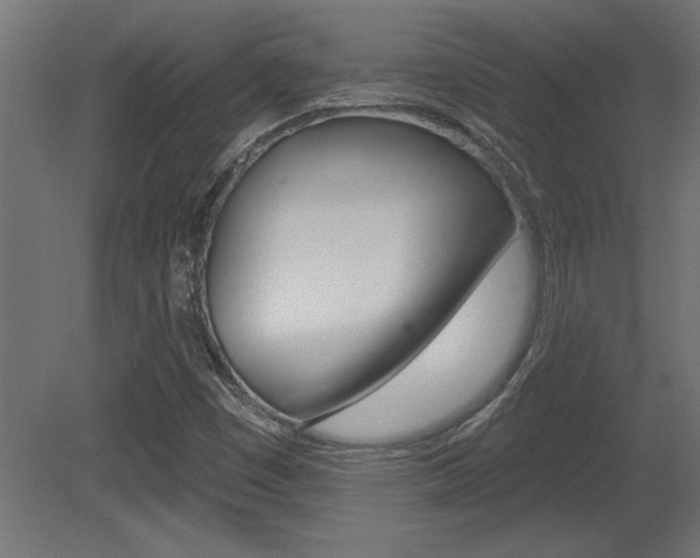 X0000081461449200701121028
