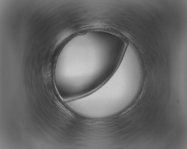 X0000081461450200701121028