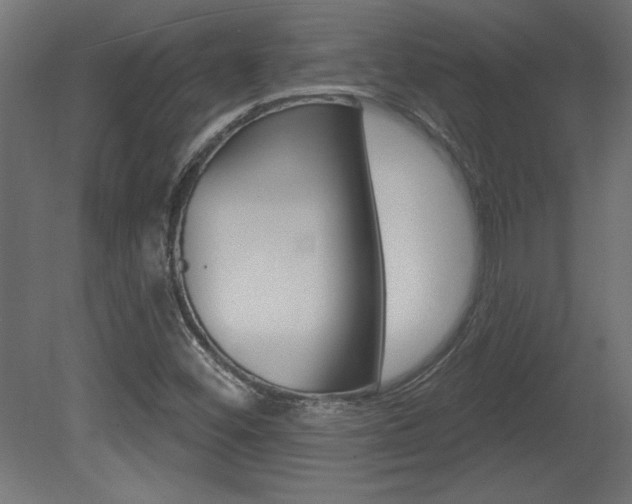 X0000081461452200701121028