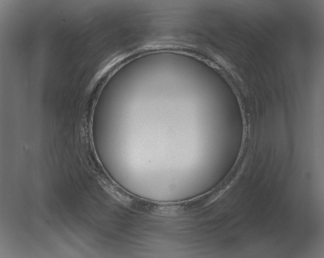 X0000081461453200701121028