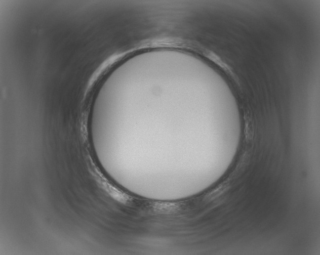X0000081461454200701121028