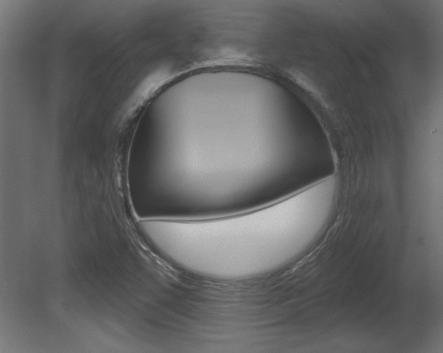 X0000081461455200701121028