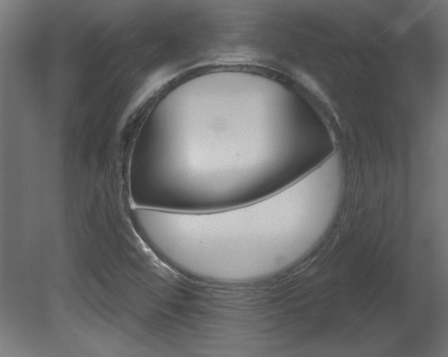 X0000081461456200701121028