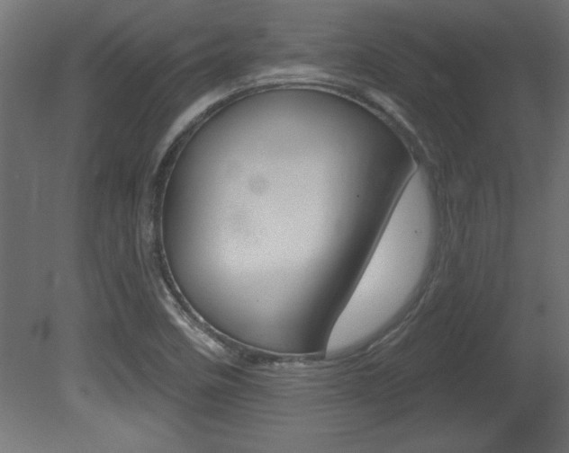 X0000081461458200701121028